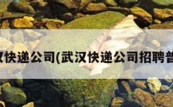 武汉快递公司(武汉快递公司招聘普工)