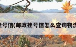 邮政挂号信(邮政挂号信怎么查询物流信息)