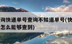 怎么查询快递单号查询不知道单号(快递单号不知道怎么能够查到)