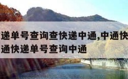 中通快递单号查询查快递中通,中通快递单号查询中通快递单号查询中通