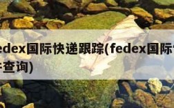 fedex国际快递跟踪(fedex国际快件查询)