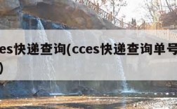 cces快递查询(cces快递查询单号查询)