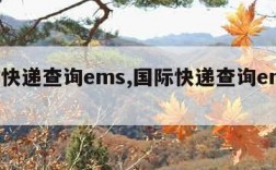 国际快递查询ems,国际快递查询ems官网