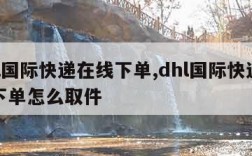 dhl国际快递在线下单,dhl国际快递在线下单怎么取件