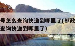 没有单号怎么查询快递到哪里了(邮政没有单号怎么查询快递到哪里了)