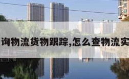 如何查询物流货物跟踪,怎么查物流实时位置