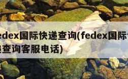 fedex国际快递查询(fedex国际快递查询客服电话)