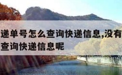 没有快递单号怎么查询快递信息,没有快递单号怎么查询快递信息呢