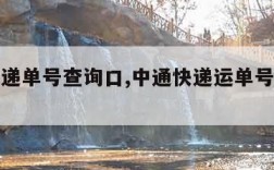 中通快递单号查询口,中通快递运单号查询追踪查